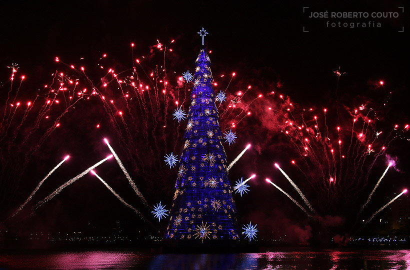 Árvore de Natal Bradesco Seguros